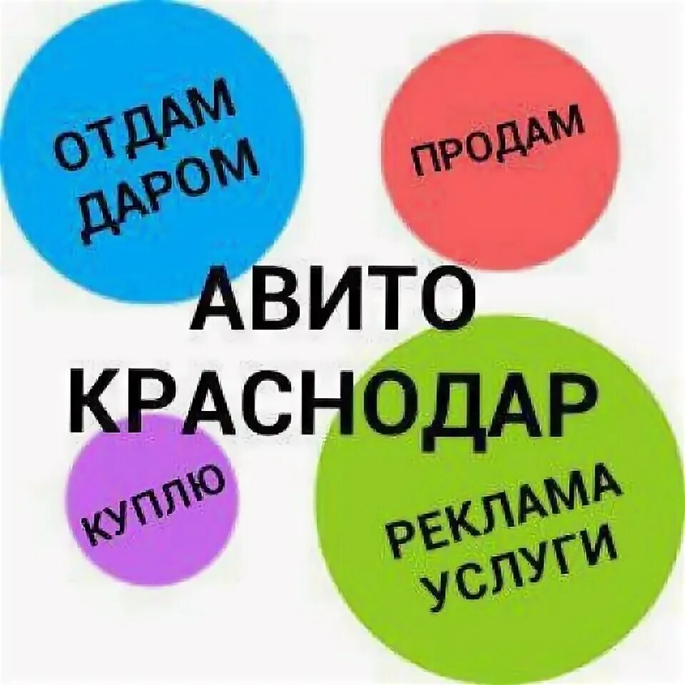 Авито Краснодар авито Краснодар. Группа авито в ватсапе. Авито Краснодар услуги. Свой человек в Краснодаре авито. Авито вацапе