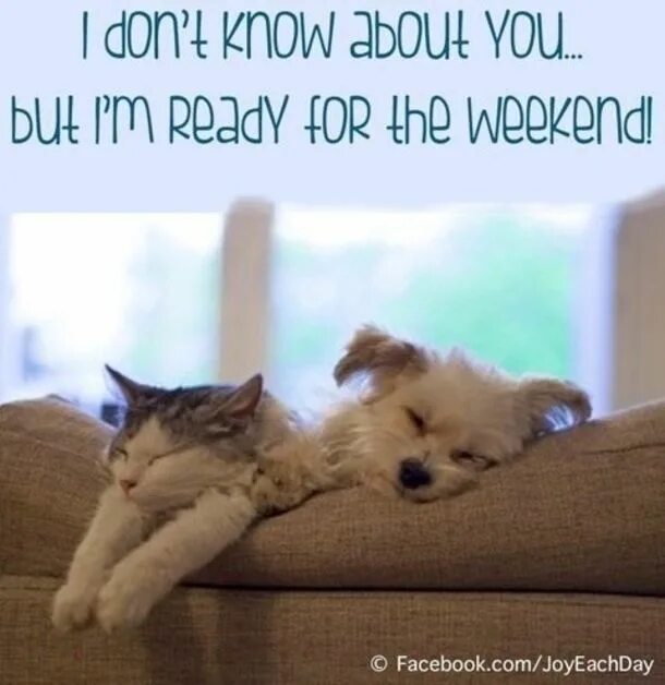 Quotes about weekend. Weekend выходные. Quotes for weekend. Выходной it. Better on the weekend