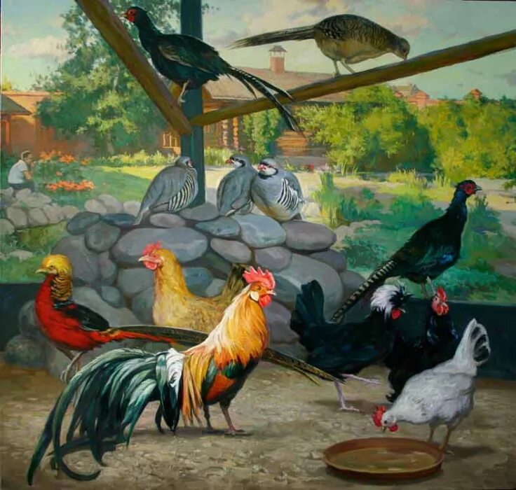 домашние птицы занятие. занятие домашние птицы. домашние птицы логопедические задания. ушинский к. домашние птицы для дошкольников.