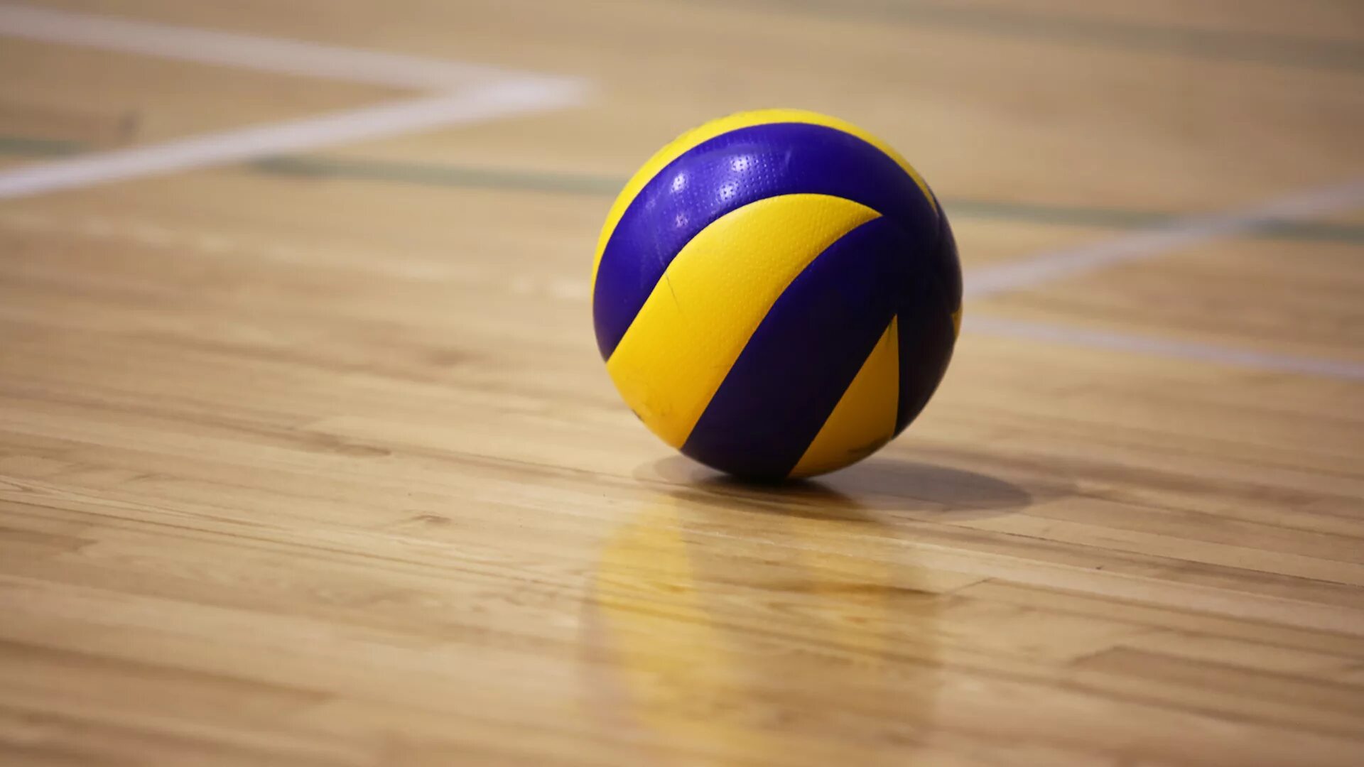 Мячи в спортзале. Волейбольный мяч. Мяч для волейбола. Волейбольный мяч на площадке. Красивый волейбольный мяч.