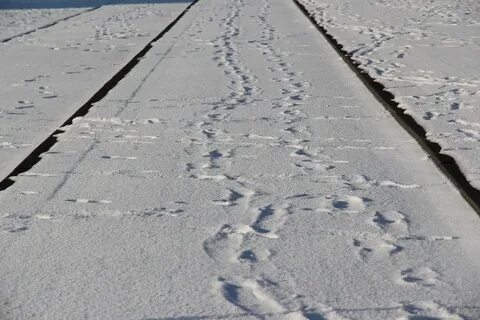 Ледяные следы