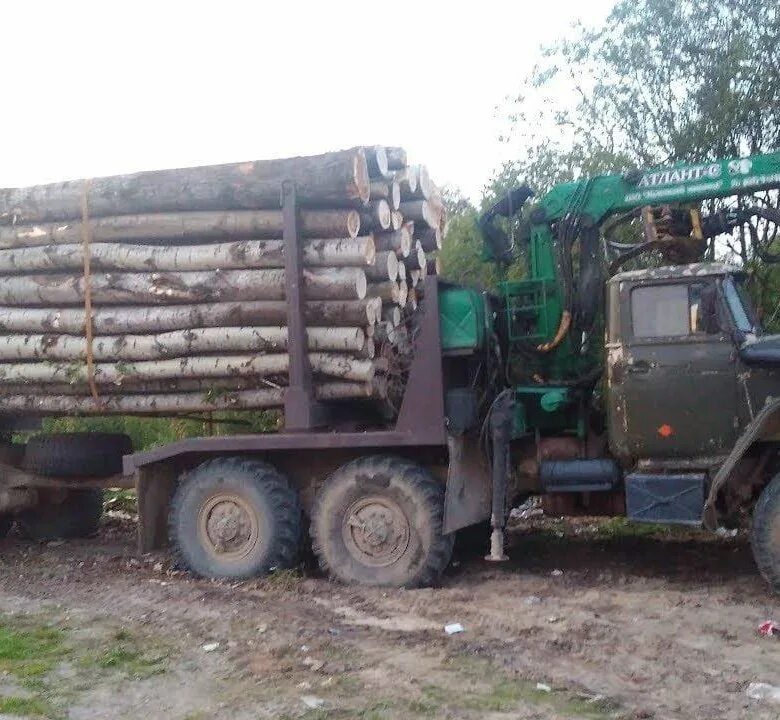 КАМАЗ дрова 20 кубов. Фискар дров. 10 Кубов леса в КАМАЗЕ. Урал с дровами.