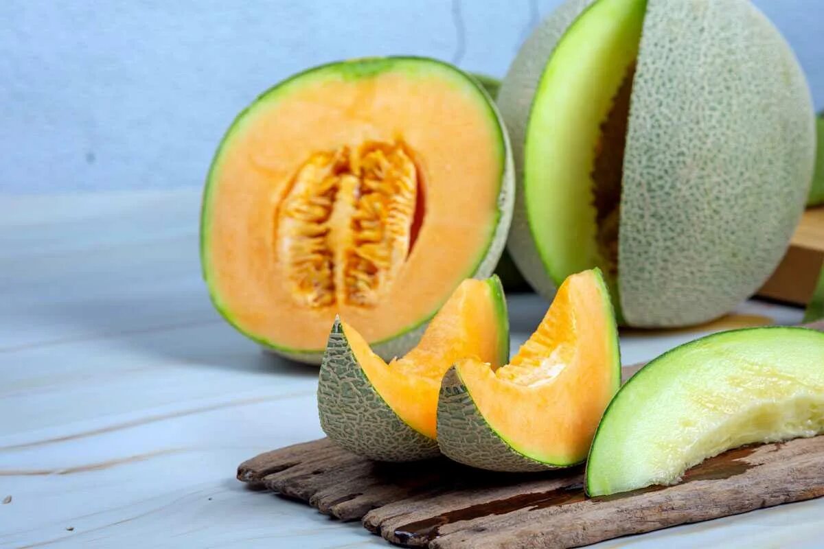 Дыня гуава. Мускатная дыня канталупа. Мускатная дыня канталупа. Канталупа что это. Дыня канталупа зеленая.