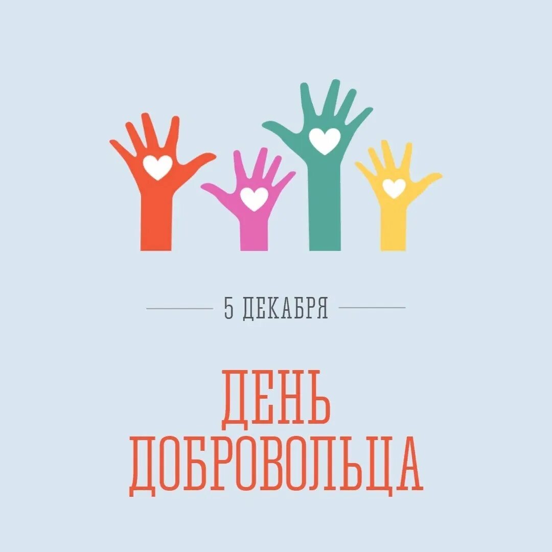 Сколько получает доброволец в 2025 году