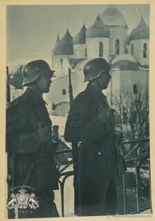 Немцы новгорода