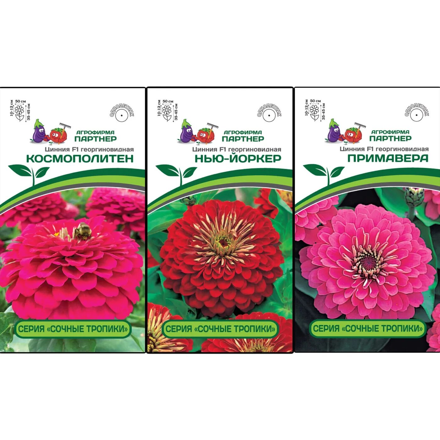 семена цветов партнер интернет