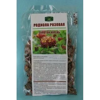 Золотом корне родиола розовая
