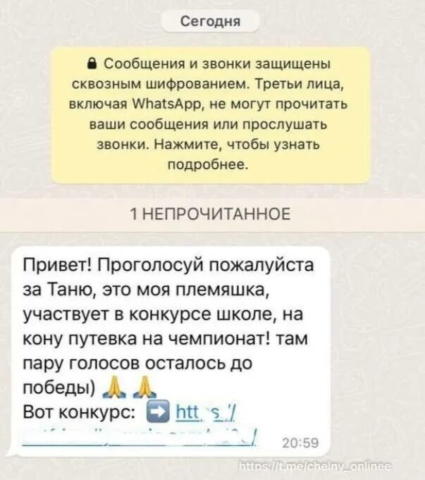 Пришло сообщение проголосовать за племянницу. Пришло сообщение проголосовать за племянницу