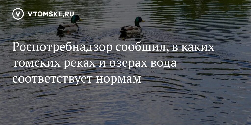 Белое озеро в Томске под водой. Там в озерах вода