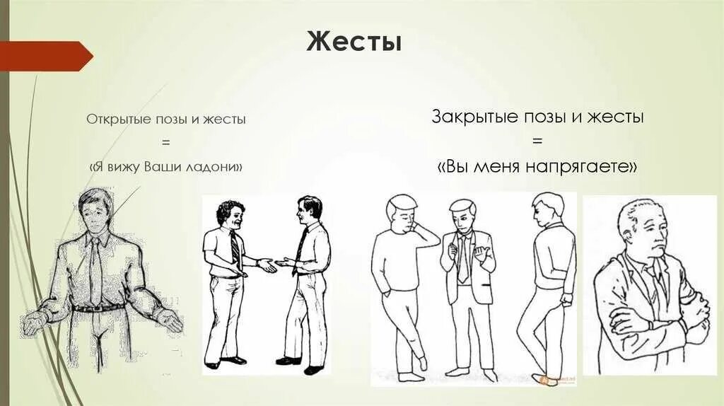 Позы и жесты в общении. Открытый язык тела. Позы человека при общении. Открытый язык тела. Открытый язык тела.