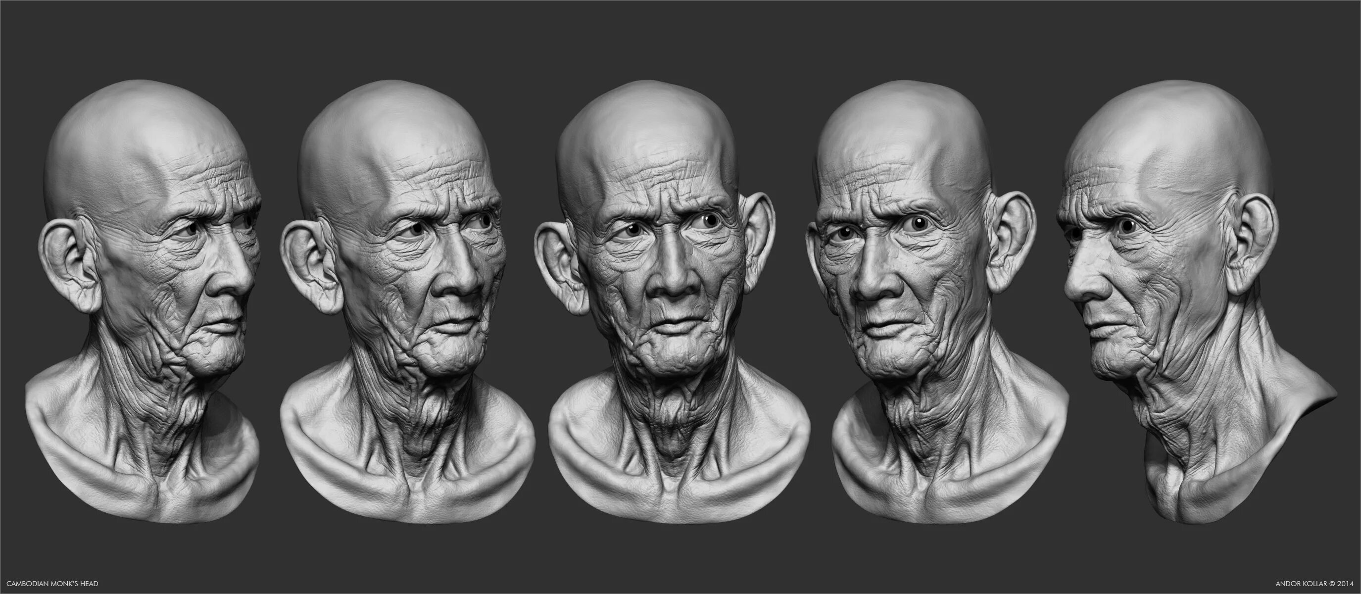 Старик Zbrush. Старик анатомия. Пожилой мужчина анатомия.