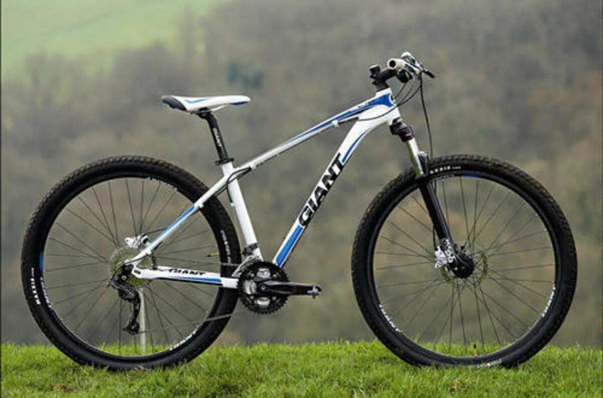 Giant talon 27. Giant talon 3. Giant talon. 5. Giant talon 29.