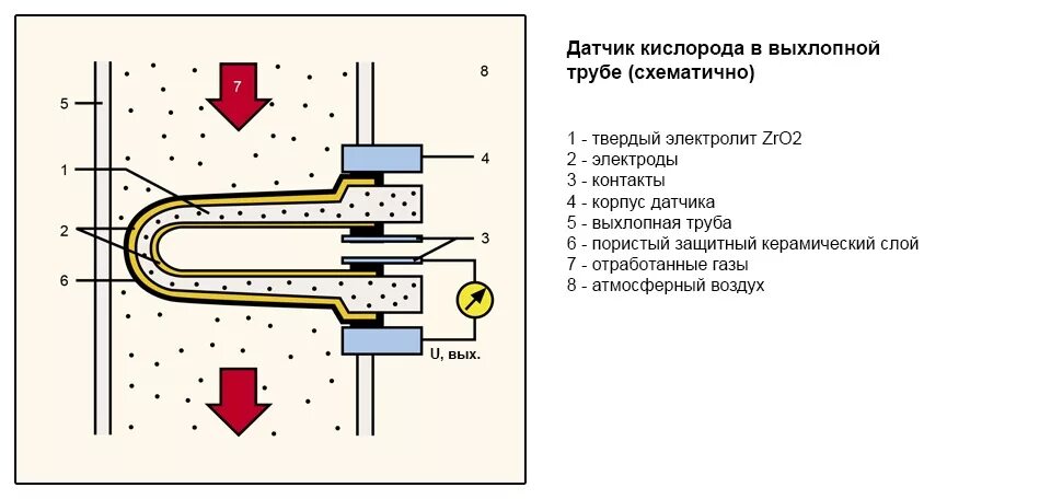 Схема датчика лямбда зонда Форд Эс-Макс Фотографии. Дополнения к автомобильным отзывам.