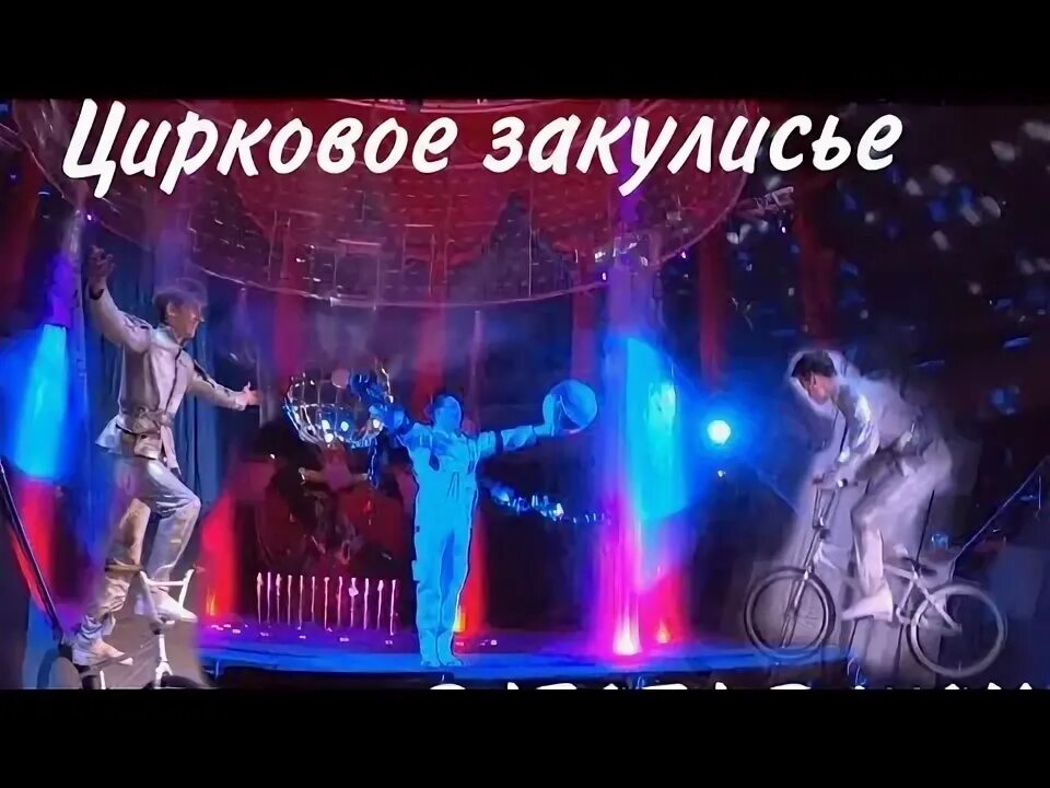 Лошадки в цирке. Цирк фурманов. Цирк шапито монте карло. Цирк фурманов. Цирк фурманов.