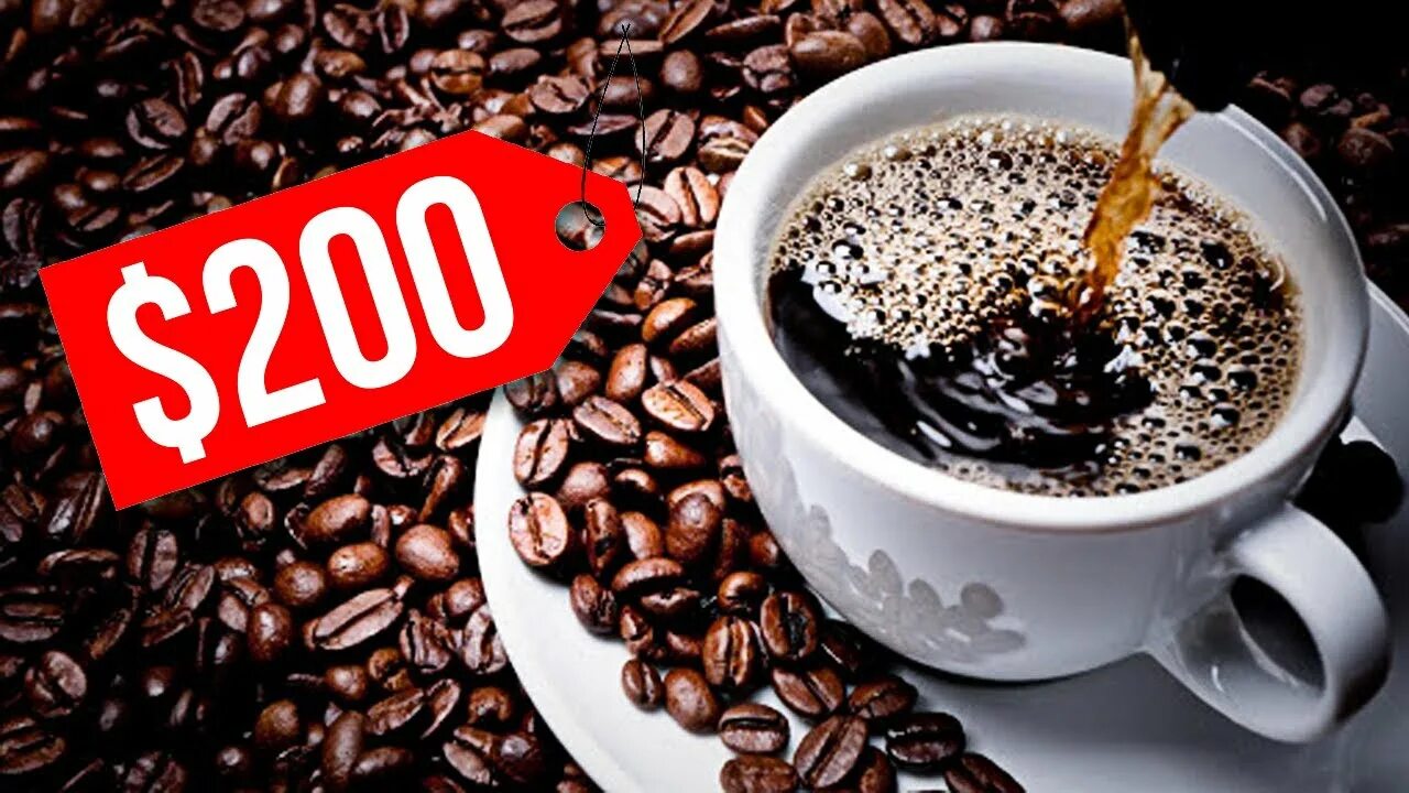 Expensive Coffee. Мировое кофе ореховое. The most expensive Coffee in the World. Coffee World е. Coffees world