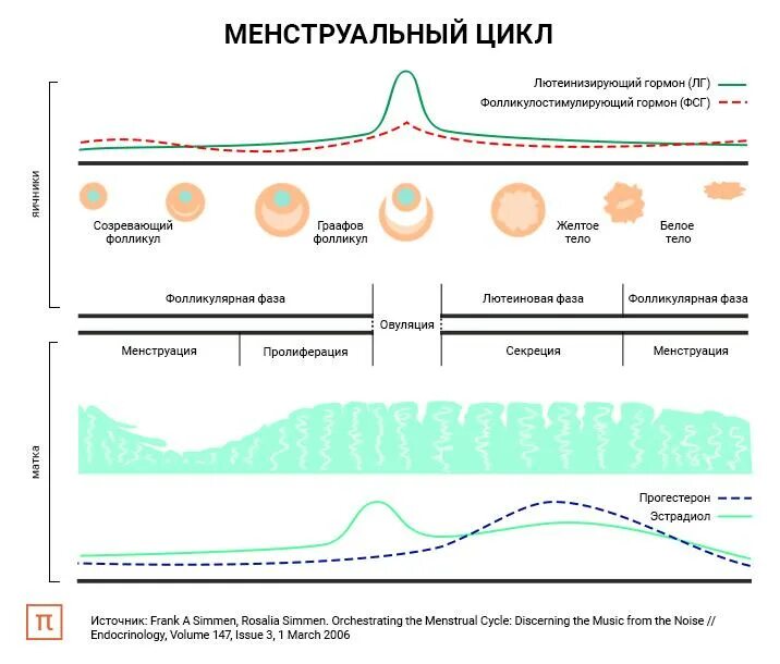 Сдвинулась овуляция