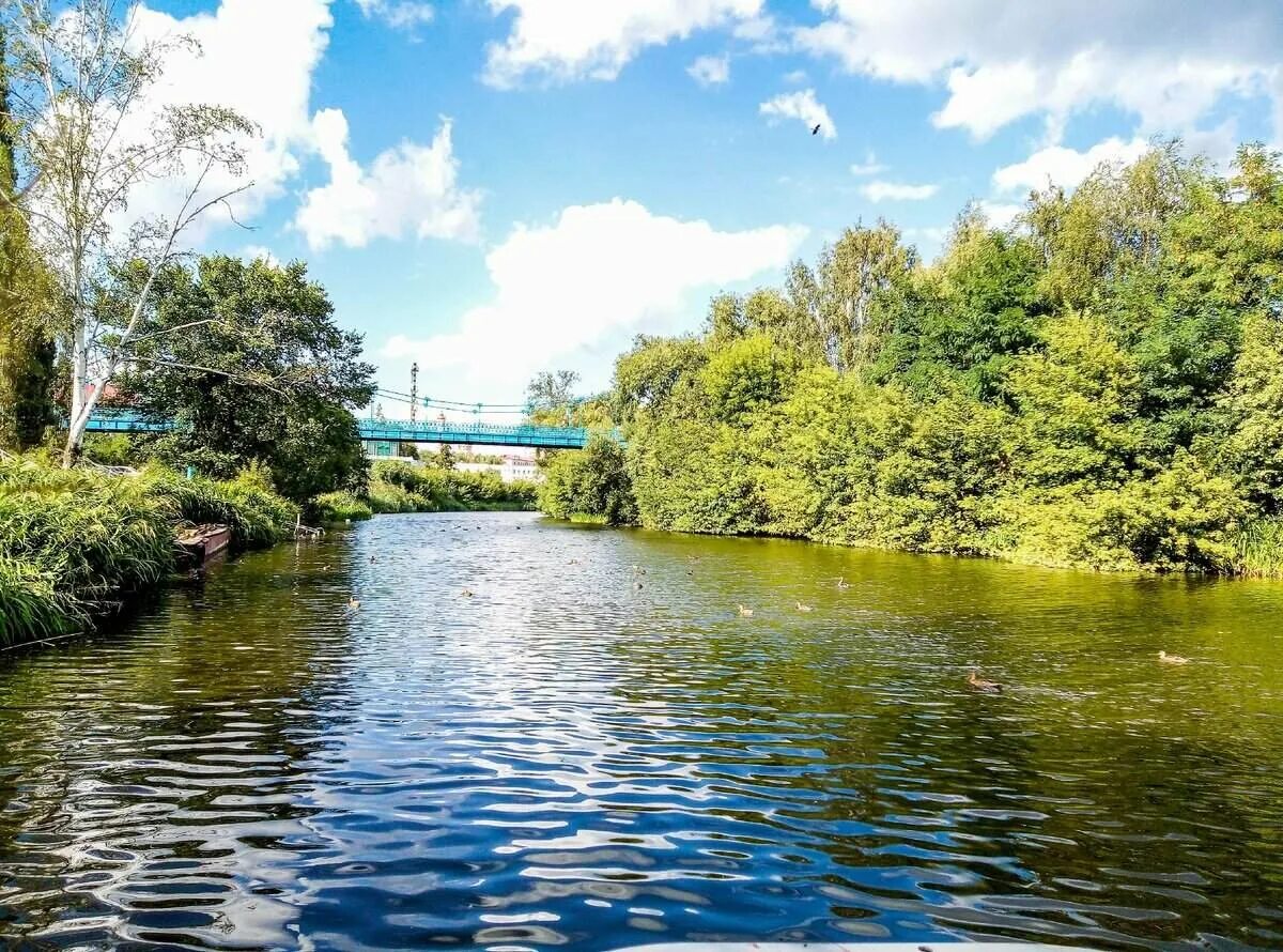 Цна (приток мокши). Тулиновка тамбовская область природа. Река цна моршанск. Начало цны. Цна (приток оки).
