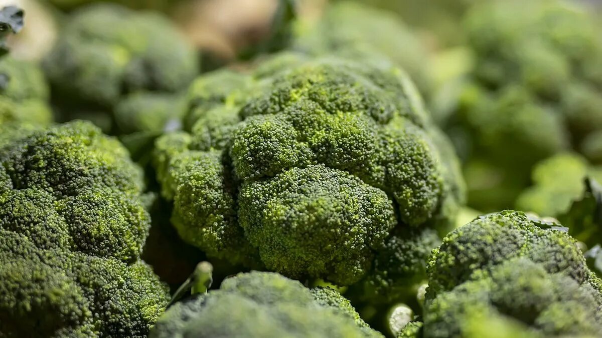 Cosmic broccoli