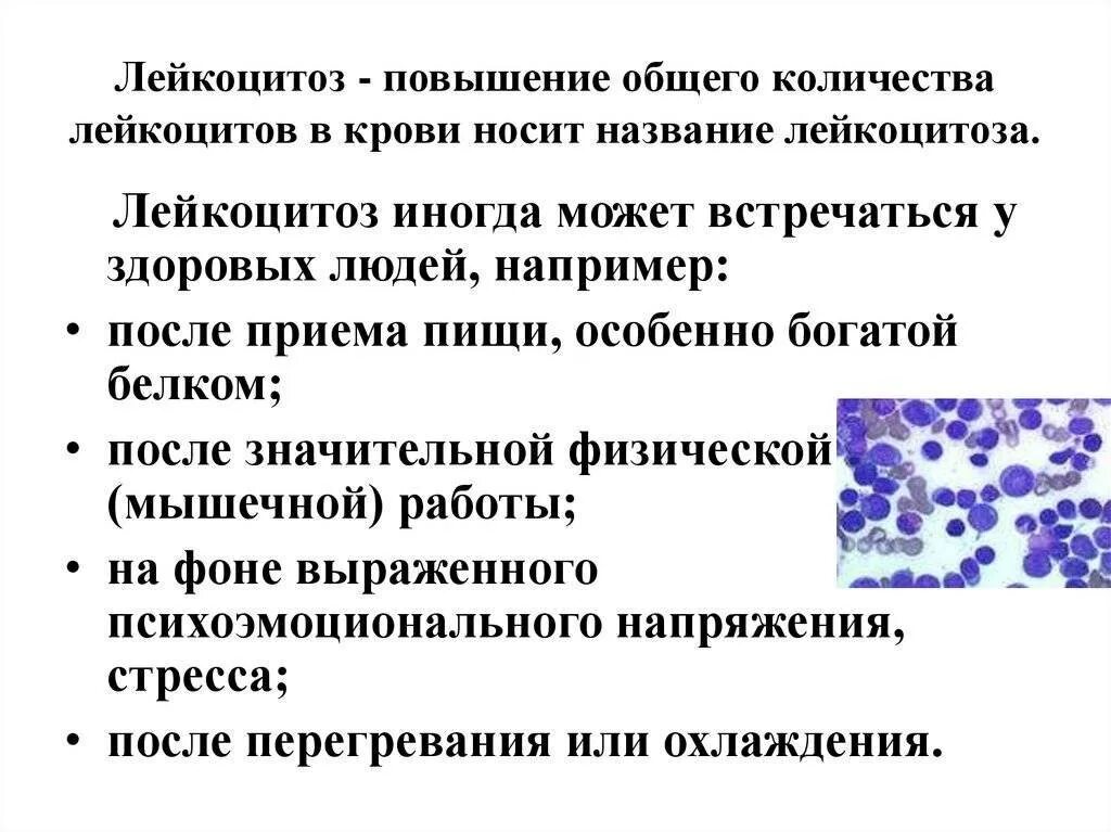 Повышение уровня лейкоцитов