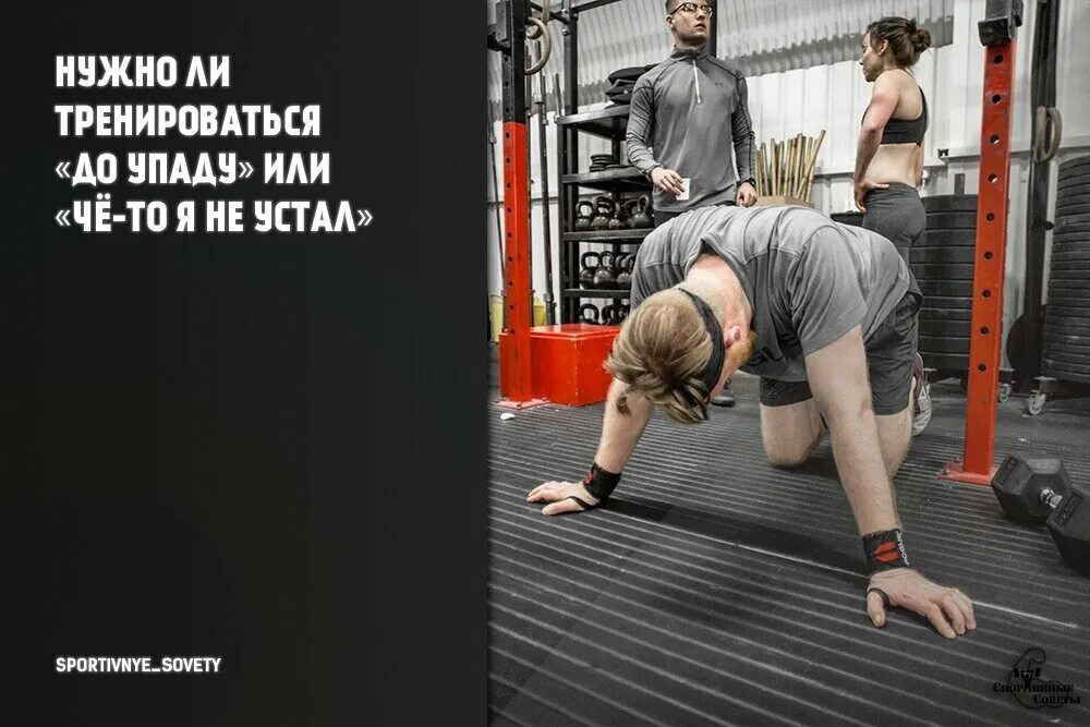 Надо ли проводить тренировку