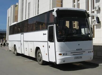 Автобус 96 екатеринбург садовый