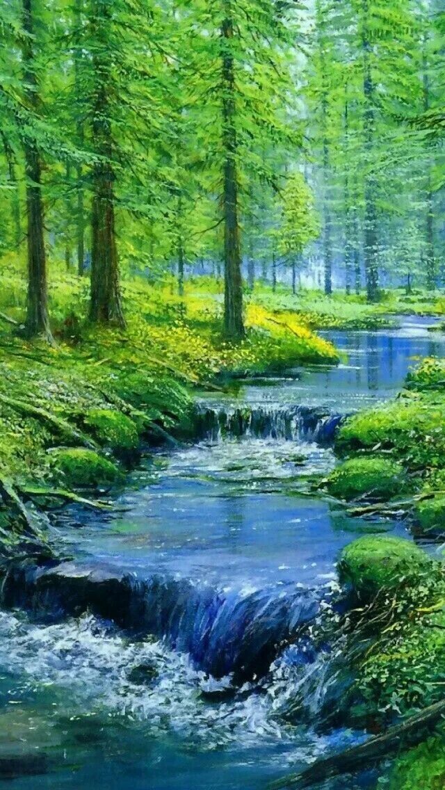 Живой звук леса. Природа. Природа ручей. Красивый ручей. Ручеек в лесу.