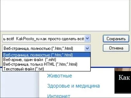 Скопировать веб
