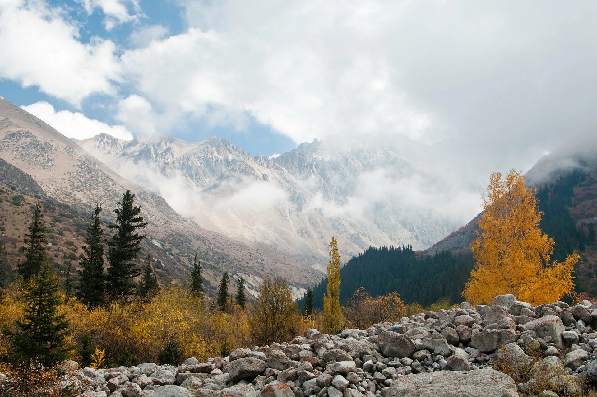 Заповедник ала арча бишкек. Ущелье ала-арча киргизия. Природный парк ала-арча. Горы киргизии ала арча. Киргизия ала.