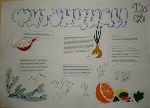 Плакат по биологии. Плакаты для школы. Плакат по биологии. Плакат на тему биологии. Неделя биологии.