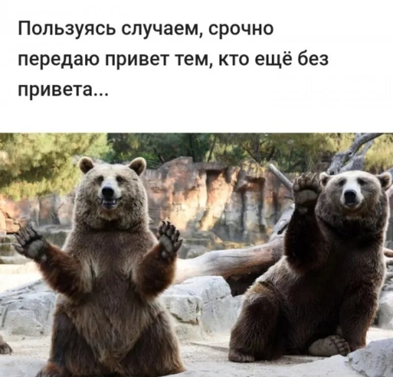 Привет с тех мест нет. Пользуясь случаем передаю привет тем кто еще без привета. пользуясь случаем передаю привет.