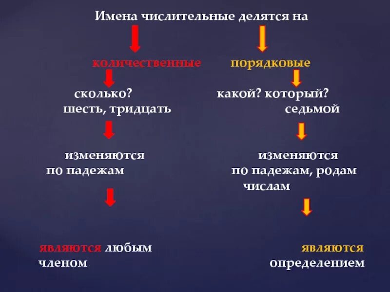 Имена числительные делятся на 2 группы. Имена числительные делятся на. Имена числительныеделаться на. Имя числительное делится на. Имена числительные делятся на количественные.