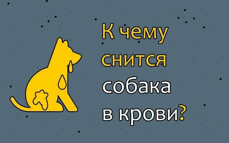 Приснилась собака к чему. К чему снится пес. К чему снится мертвая собака. Сон умирающая собака к чему снится