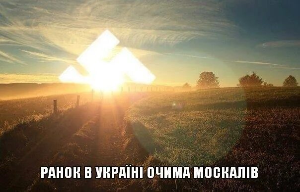Солнечный день. Солнечное поле. Украинская природа. Яркое солнце. Восход солнца в поле.