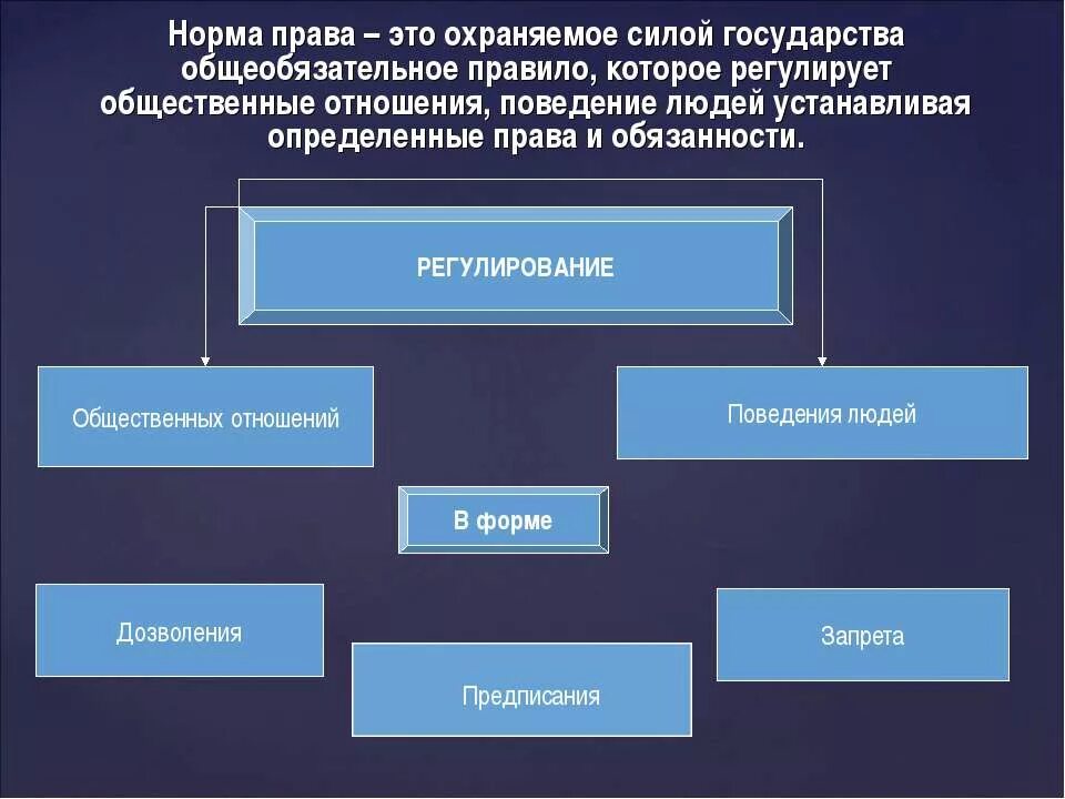 Запрет установления общеобязательной. Правовые нормы нормы. Отношение которое регулирует норма право.