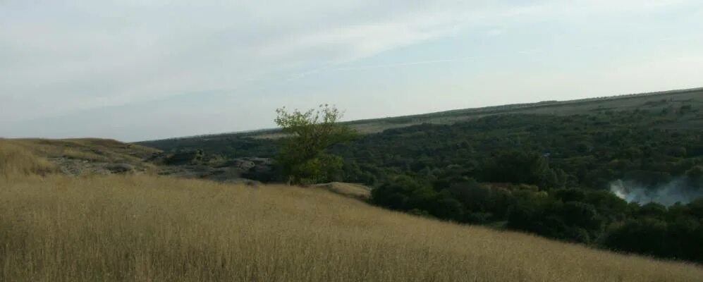 Село Ореховка Ставропольский край Петровский. Ореховка Петровского района Ставропольского края. Петровский район Ставропольский край. Села Петровского района Ставропольского.