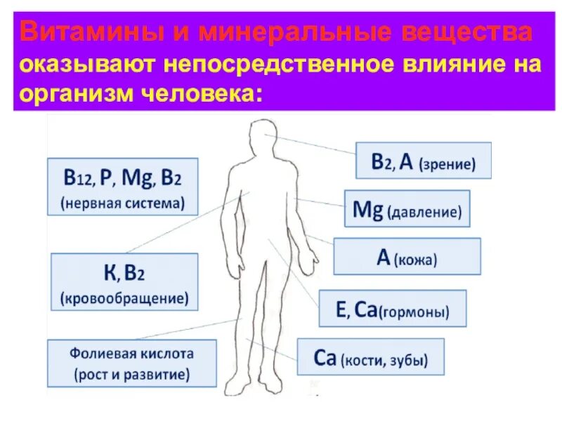 Элемент жизнедеятельности человека. Влияние витаминов на организм человека. Минеральные вещества и их влияние на организм. Влияние Минеральных веществ на организм человека. Влияние витаминов на человека.