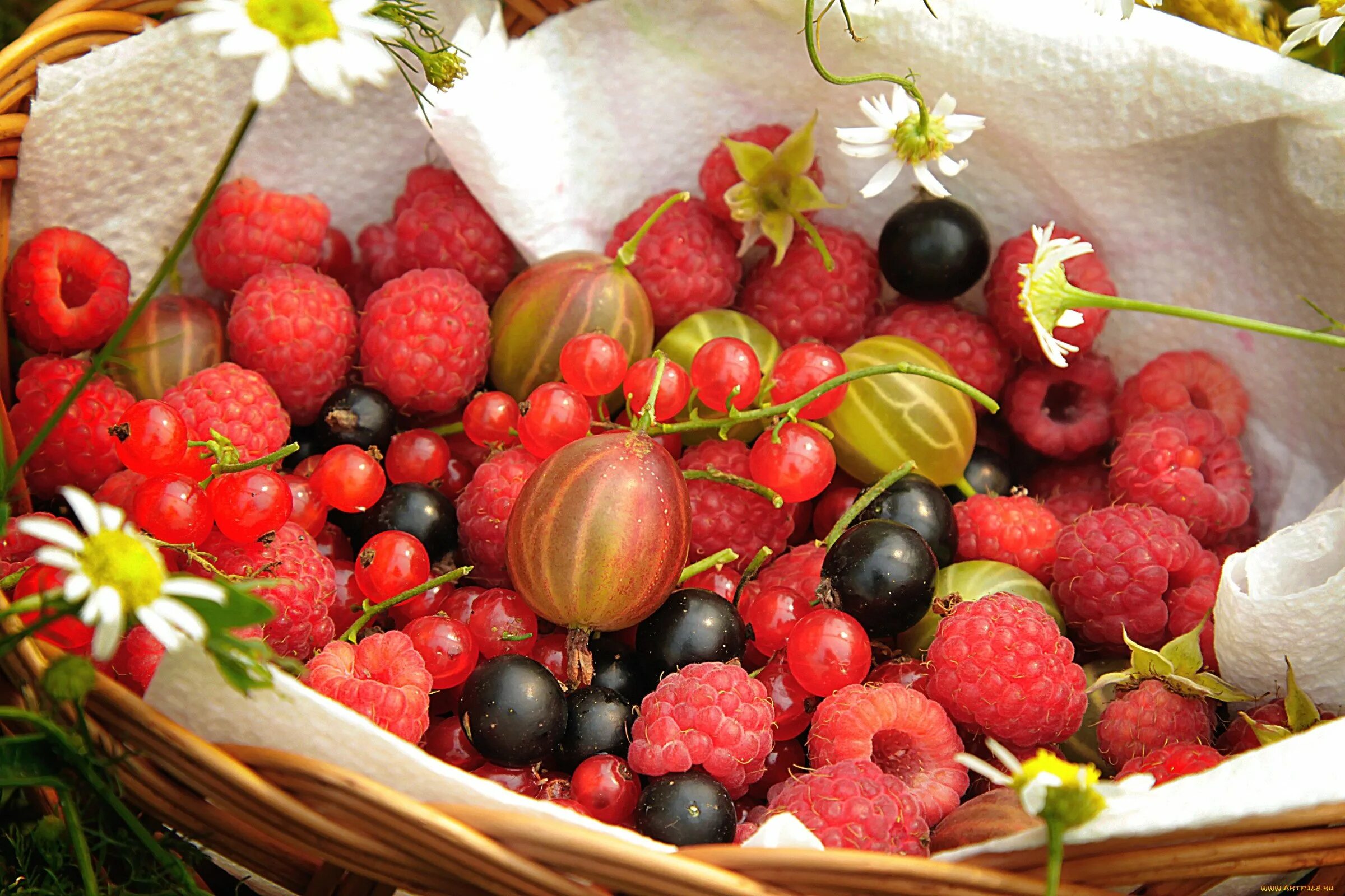 Летние ягоды. Летние фрукты. Корзина с ягодами. Лето фрукты ягоды.