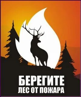 Беречь лес слова