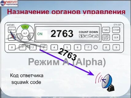 Назначение органов