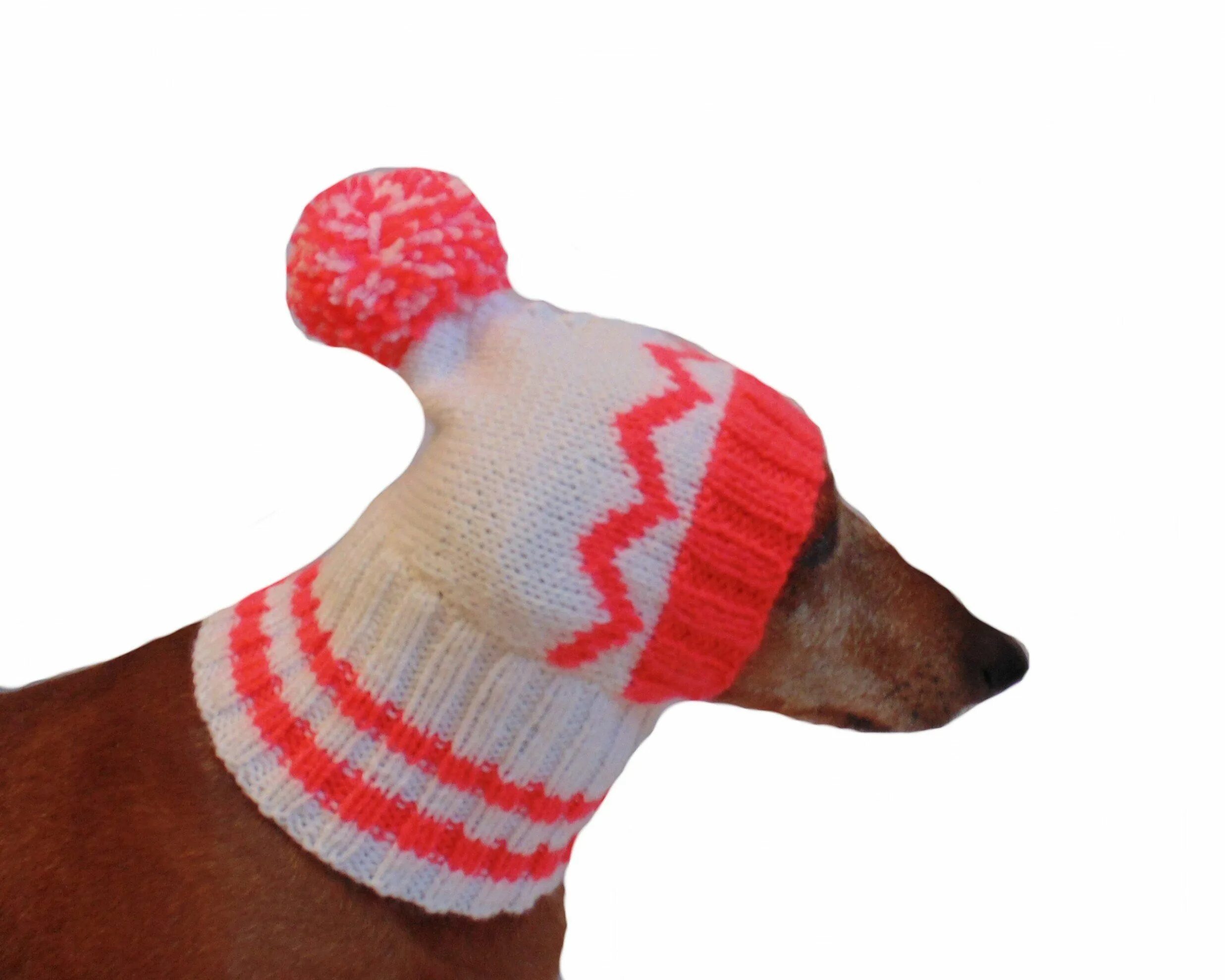 Шапка 'собака'. Собака в новогодней шапке. Новогодние шапки для собак вязаные. Шапка для таксы. Купить шапку для собаки