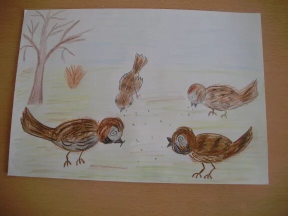 Рисование стайка Воробьев подготовительная группа. Рисование птицы в старшей группе. Рисование воробья в подготовительной группе. Рисование птицы в средней группе.