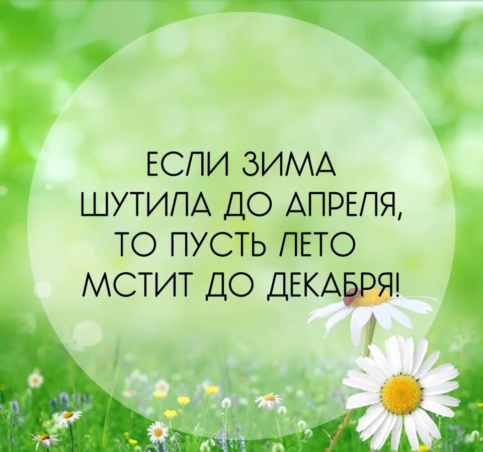 Пусть лето радует. Пусть лето продолжается. Лето будь счастливым. Пусть это лето. Высказывания про лето