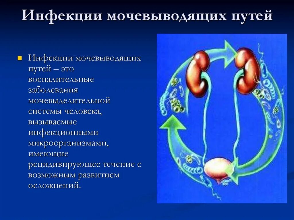 Заболевания мочевых путей. Инфекции мочевыводящих путей. Инфекционные заболевания мочевыделительной системы. Заболевания органов мочевыделительной системы. Заболевания органов мочевыделительной системы у женщин.