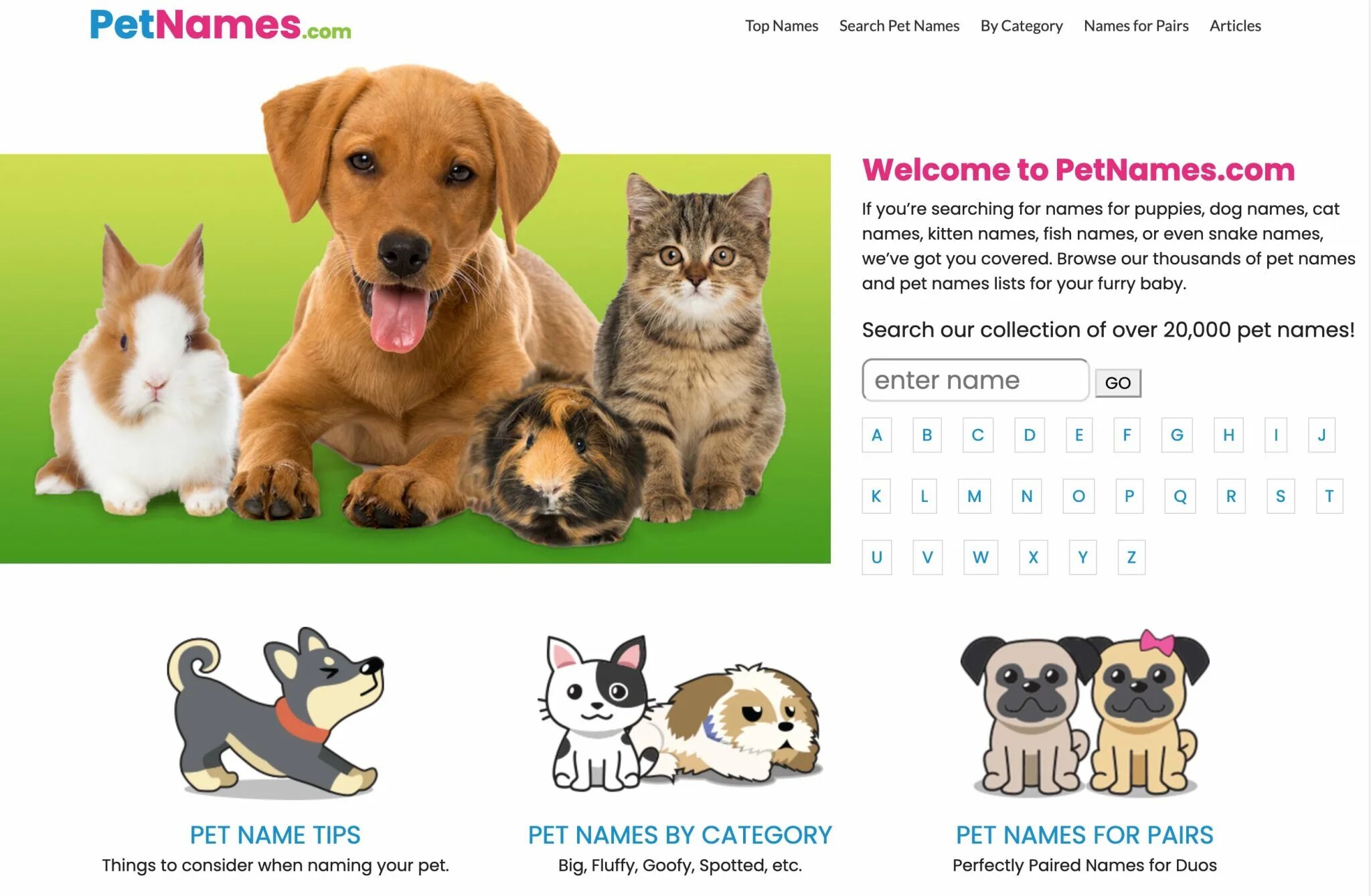 Funny pet names. Pets список. Names for Pets. Different Pets names. German Pet names.