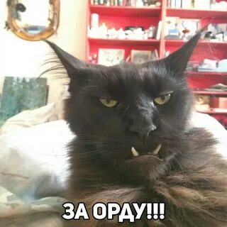 Где очевидное