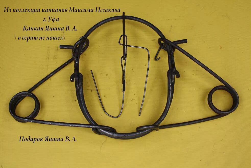 Самодельный капкан. Капкан пружинный кд-140. Капкан самолов на кабана. Капканы самоловы на Кабанов. Капканы и самоловы на бобра.