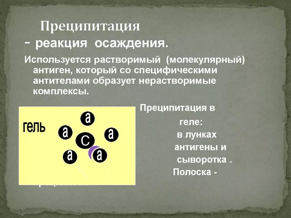 Реакция радиальной иммунодиффузии по манчини картинки. Реакция преципитации презентация. Реакция преципитации оухтерлони. Реакция преципитации в геле применяется для. Реакция преципитации в геле применяется для.