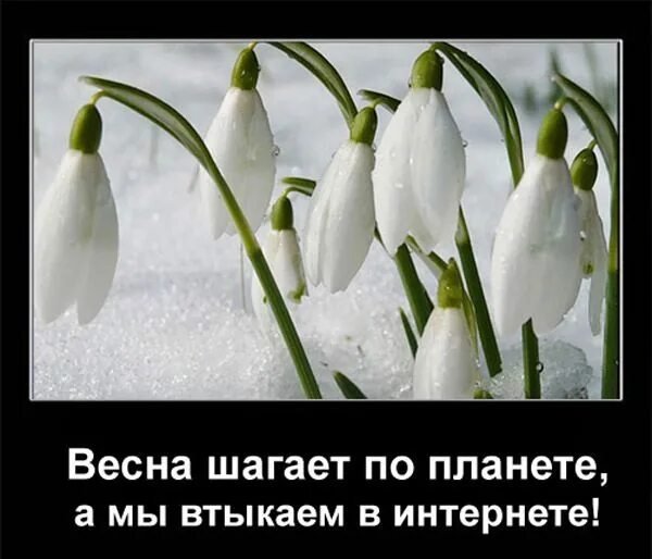 Статусы про весну и любовь. Афоризмы про весну. Статусы про весну. Цитаты про весну прикольные.