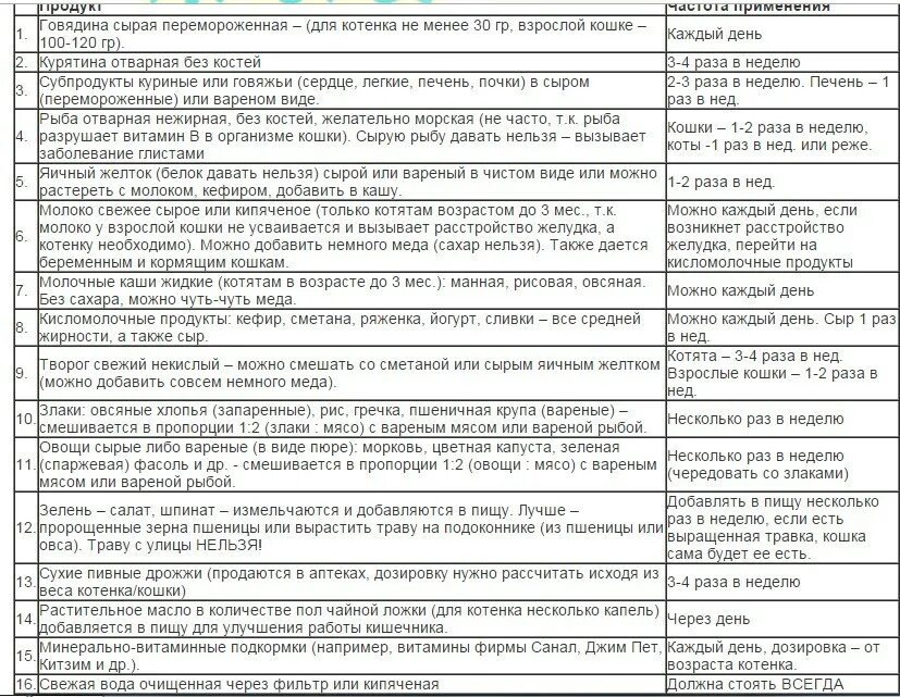 Примерное меню котенка 2 месяца. Чем кормить котенка 2 месяца. Таблица кормление котят 2 месяца. Рацион питания 2 месячного котенка. Котенку месяц вислоухий чем кормить