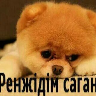 Барлық порно актрисалардың фотосуреттерін қараңыз